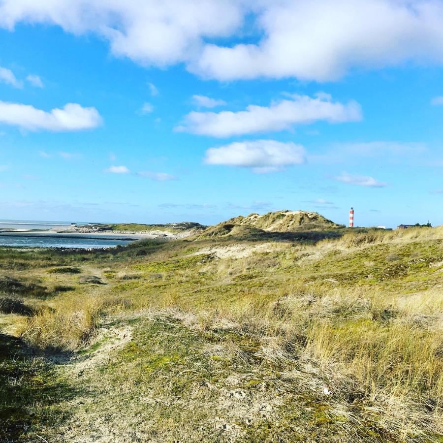 Paddle - Vue Mer - 100M Plage Berck Eksteriør billede
