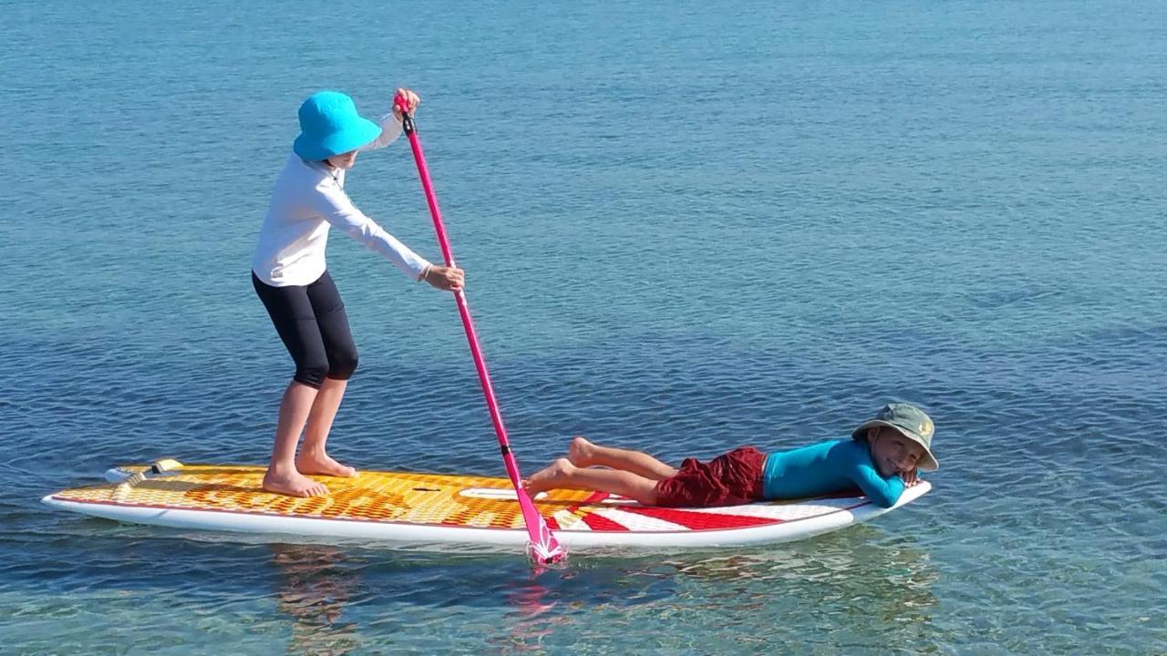 Paddle - Vue Mer - 100M Plage Berck Eksteriør billede